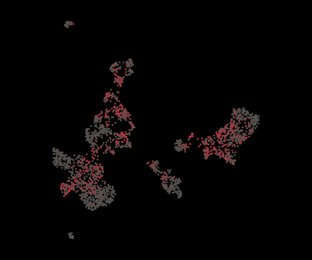 The same lung cells and coordinates, with gray indicating lower model uncertainty and red indicating higher uncertainty, including cells within otherwise distinct clusters.