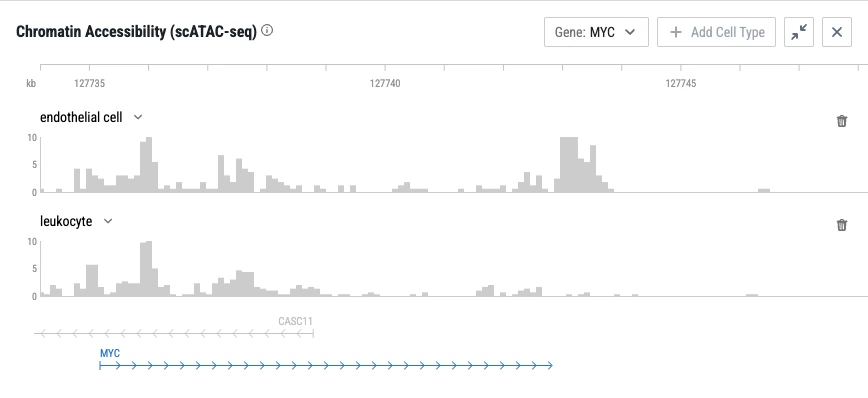 Endothelial-cell and leukocyte coverage tracks around MYC in the live CELLxGENE chromatin-accessibility panel, with gene annotations below.