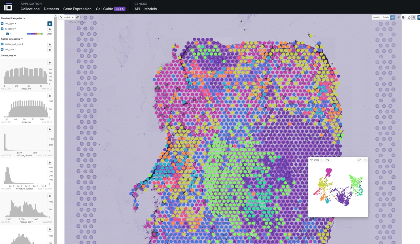 CELLxGENE Explorer showing colored spatial measurements over tissue, metadata controls, and an inset UMAP embedding.